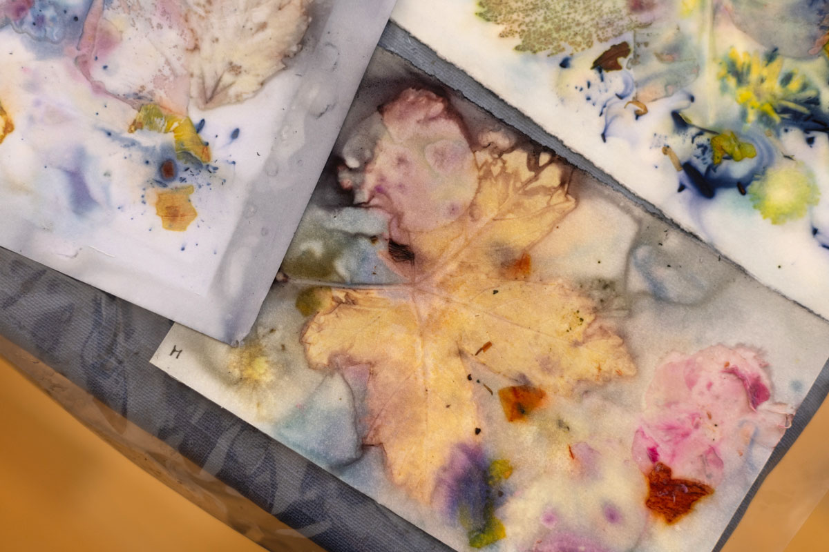 Eco Print von Herbstblätter | Ocker Studio
