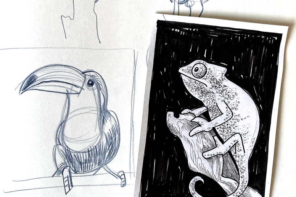 Tiere illustrieren: DIY-Workshop von Sandfarbe | Ocker Studio
